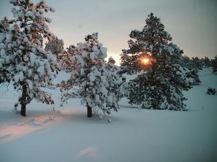 snow calm and beautiful